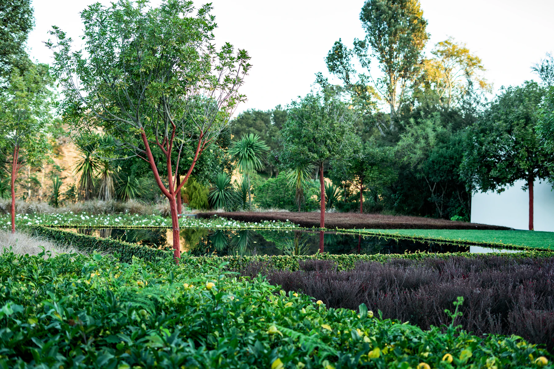 Mature landscaped garden pathway