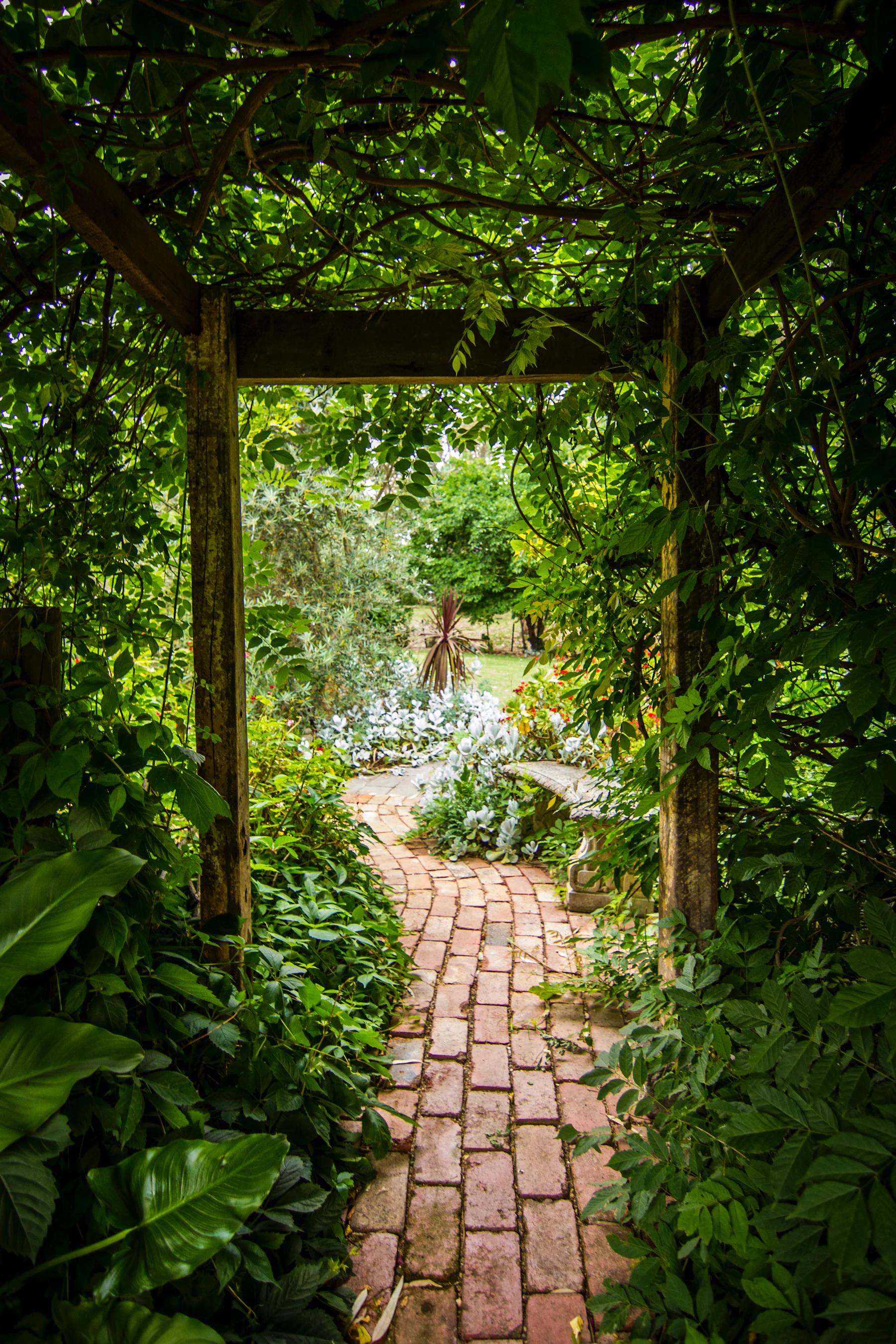 Landscape garden with mature planting